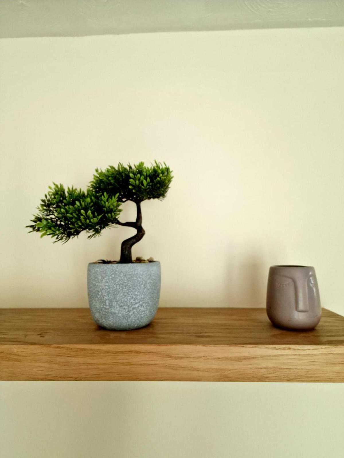 Yuriko Villa Saint Davids  Eksteriør bilde